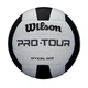 Мяч для пляжного волейбола Wilson Pro Tour VB размер 5 (WTH20119XB) - изображение 1