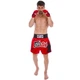 Шорты для тайского бокса и кикбоксинга BS0638 Fairtex XL Красный (37475030) - изображение 5