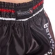Шорты для тайского бокса и кикбоксинга Hayabusa Loin Warrior Heroe 0240 размер S (44-46) Black-Brown - изображение 2
