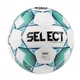 Футбольный мяч Select Campo Pro IMS 5 - изображение 1