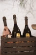 Вино игристое Trevisana Prosecco Spumante DOC белое экстра-сухое 0.75 л 11% (8003030886929) - изображение 2
