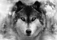 Фотообои бумажные DecoArt Волк 254 x 184 см 2 сегмента (10147-P4) - изображение 1