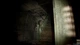 Resident Evil 7 Biohazard (Xbox One, русские субтитры) - изображение 5