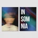 Модульная картина из двух частей Insomnia 153x100 см (MK21213) - изображение 2