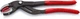 Кліщі трубні захватні 250 мм Knipex 81 11 250 - зображення 1
