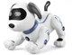 Собачка на радиоуправлении Study Dog К16 - изображение 1
