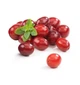Ягодная паста LiQberry Брусника 0.545 л - изображение 2