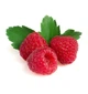 Ягодная паста LiQberry Малина 0.545 л - изображение 2