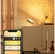 Настільна лампа Philips Hue Iris 2000K-6500K Color Bluetooth золотиста (929002376401) - зображення 5