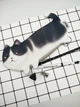 Канцелярський набір для школярів Black Cat, шкільний пенал, олівець, ручка, точилка, гумка, шкільні приналежності Yunima (31287697) - зображення 1
