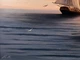 Картина маслом 50х80см Вітрильник в морі на полотні з кораблем, ручна робота художника Alleya-kartin - зображення 5