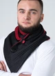 Шарф мужской "Эдинбург" большой MyScarf теплый one size черный стеганный с красной подкладкой - изображение 1