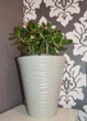 Горщик для квітів Form-Plastic Sahara-30 сірий із вставкою (2720-055) - зображення 3
