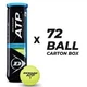 Тенісний м'яч DUNLOP ATP CHAMPIONSHIP 4Ball 72 м'ячі - зображення 1