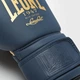 Боксерские перчатки Leone Mono Blue 10 унций - изображение 6