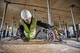 Пила дискова акумуляторна DeWalt DCS579X2 - зображення 5