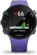 Спортивные часы Garmin Forerunner 45s Iris (010-02156-01/11) - изображение 5