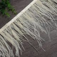 Перья страуса на ленте KV Feathers 10-15 см, бежевый, 1 м PS029 - изображение 1