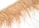 Перья страуса на ленте KV Feathers 10-15 см, кавовий, 1 м PS024 - изображение 2