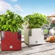 Умный вазон Plastkon Cobble 14 см голубой 4114029112 - изображение 3