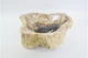 Кам'яна раковина FOSSIL WOOD Industar s25-3946-1 47 х 42 см Асиметрична - зображення 4