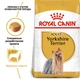 Сухий корм Royal Canin Yorkshire Adult для собак породи Йоркширский тер'єр Купуй 1,5кг+500г у подарунок Royal Canin - изображение 4