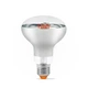 Фітолампа VIDEX Filament R80FF 09W E27 1200K - зображення 2