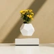 Левитирующий вазон Flyte lyfe - изображение 2