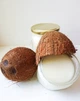 Кокосова олія (Coconut oil) харчове рафіноване, 500г, для кулінарії та косметології - зображення 2
