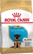 Сухой корм для собак Royal Canin German Shepherd Puppy 16 кг щенкам породы Немецкая овчарка - изображение 1