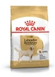 Сухой корм для собак Royal Canin Labrador Retriever Adult 13 кг взрослым собакам породы Лабрадор-ретривер в возрасте от 15 месяцев - изображение 1