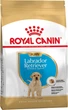 Сухой корм для собак ROYAL CANIN Labrador Retriever Puppy 16 кг щенкам породы Лабрадор-ретривер до 15 месяцев - изображение 1