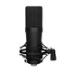 Студийный микрофон Manchez MU-5 (XLR) с "пауком" + чемодан Black - изображение 5