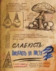 Гравіті фолз. Щоденник 3 Ранок - изображение 5