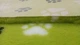 Коврик для собак Vetbed Big Paws lime 80х100 см (VB-020) - изображение 4