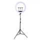 Лампа кольцевая светодиодная Ring Light ZB-F348 Селфи кольцо 45 см Штатив 2 м Пульт ДУ набор для блогера 60W - изображение 1