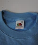 Світшот теплий Fruit of the Loom S Небесно-Блакитний (D0622020YTS) - зображення 6