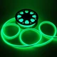 Двусторонняя неоновая лента Lighteer Technology Limited Flex 8х16 мм 120 led 1 м (tz2gxb) - изображение 1