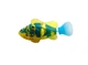 Интерактивная игрушка Robo fish Светящаяся рыбка-робот желто-синяя - изображение 1