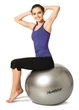 Мяч 65 см Gymnastik Ball Standard серебристый Ledragomma L 109 - изображение 1