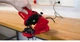 Ostrzałka do łańcuchów Einhell GC-CS 85 E (4499920) (955555917418921) - Outlet - obraz 2