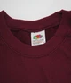 Свитшот мужской Fruit of the Loom XL Бордовый (D062156041XL) - изображение 3