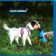 Дорожня пляшка для води тварин Lucky Animals Прогулянкова портативна напувалка з чашею для собак 500 мл Синя (M7702000040) - зображення 2