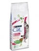 Сухой корм Purina Cat Chow Urinary Tract Health для кошек с курицей 15 кг (5997204514424) - изображение 1