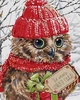 Набор для вышивания крестом со схемой на канве 32х39 Сова с подарком Joy Sunday DA499 - изображение 1