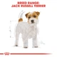 Сухий корм Royal Canin Jack Russel Terrier Adult для собак породи джек-рассел-тер'єр від 10 місяців 3 кг (3182550821421) - зображення 3