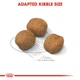 Сухой корм Royal Canin Giant Puppy корм для щенков гигантских пород до 8 мес 15 кг (3182550707046) - изображение 2
