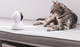 IP-камера Xiaomi Mi 360° Home Security Camera 2K (Міжнародна версія) (MJSXJ09CM) (BHR4457GL) - зображення 8