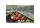 Агроволокно Agreen 23 (3,2х10) Белое 001706 - изображение 4