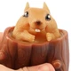 Игрушка антистресс для детей и взрослых Pop It Фуфлик Выпрыгивающая белка JG-88 - изображение 3